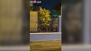 Bắt em mặc bộ nữ tu bú mút làm tình public với anh giữa phố