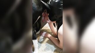 Gái dâm bú cặc chó