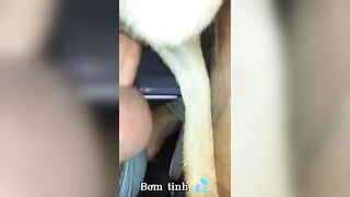 Cặc to địt lồn chó cái cực phê