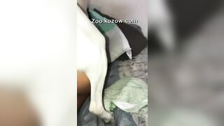 Chó đụ gái cực sướng 3