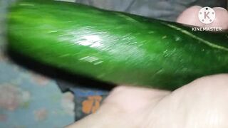 Tramydam thột với dưa leo khủng.