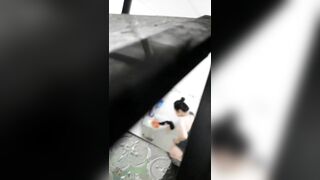 Quay lén em gái tắm phần 3, ngày thứ 2