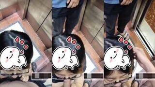 Bé sugar baby hồn nhiên bú cu trong thang máy thì bất ngờ có người lạ vào em mặc kệ