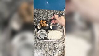 Zinz thích nấu ăn nhìn múp