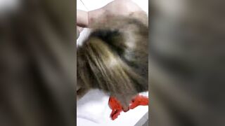 MBBG Bú cu lút cán thủ dâm vs cậu học sinh chim chx mọc lông