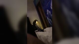 ....... 24