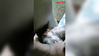 Phá trinh em chó mới lớn