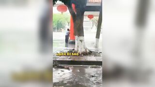 Thứ Bảy mưa rơi nhiều.