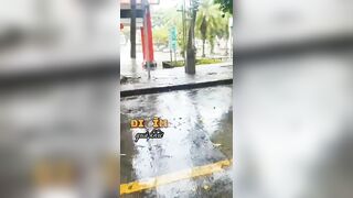 Thứ Bảy mưa rơi nhiều.