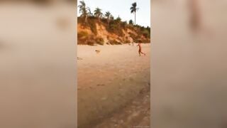 Em teen ngon bị chú cún trộm mất bikini
