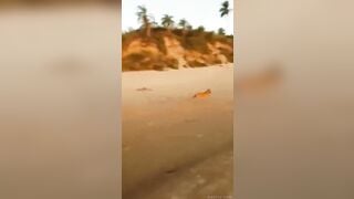Em teen ngon bị chú cún trộm mất bikini