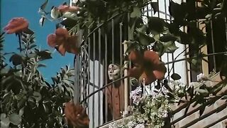 Phim sex cổ điển 9