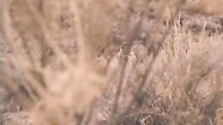 Phim sex cổ điển 59