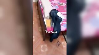 Chơi vợ bạn rớt ghế tình yêu