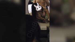 Cha ơi đừng đụ con nữa còn năn nỉ đó