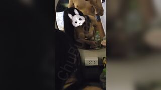Cha ơi đừng đụ con nữa còn năn nỉ đó