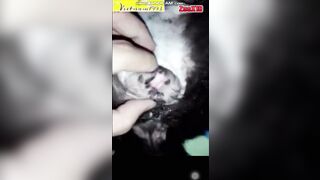 Cặc dài đỏ đầu chịch chó