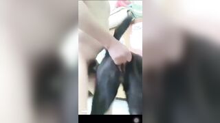 Trung niên chịch chó mãnh liệt