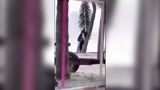 2 e học sinh bạo thật, Ra giữa cao tốc địt nhau bao nhiêu người qua lại