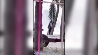 2 e học sinh bạo thật, Ra giữa cao tốc địt nhau bao nhiêu người qua lại