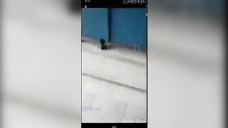 Quay lén e học sinh đi đái bị e liếc mắt phát hiện gào ầm lên và cái kết