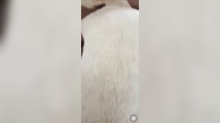 Chịch chó bạn thân