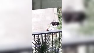 Vl 2 e học sinh cấp 3 lén mò hàu dưới sân trường bị Giám thị bắt được
