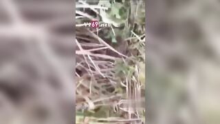 Biến thái địt bé học sinh lên đỉnh liên tục trên núi ở Cao Bằng