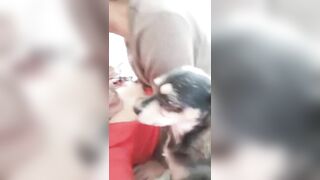 Chị gái vừa địt nhau với chồng chưa sướng kêu chó lại liếm lồn rồi cho địt luôn