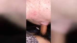 I am the pig 4