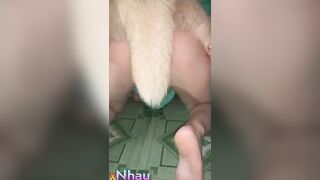 đụ chó mai com bắck king-mscc