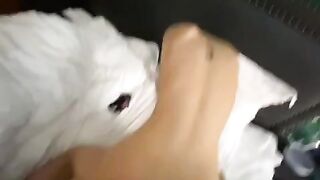 Doggy e gái mông bự thì chồng gọi