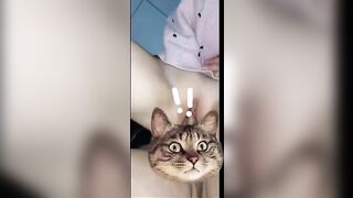 khongg xem hối hận cả đời