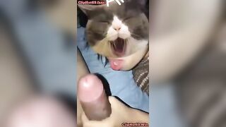 Nằm im đấy bú cu cho anh