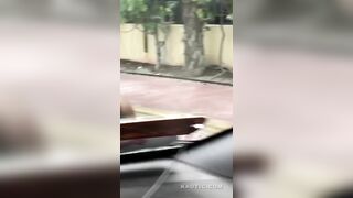 Say xỉn doggy với trí tưởng tượng của chính mình trên đường phố