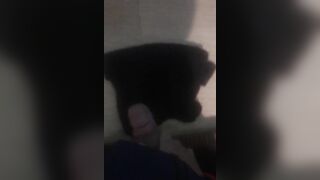 Nyc suc cu