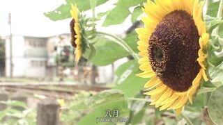 Jav việt sub Chàng trai bị hai cô chị dâu loạn luân tập thể