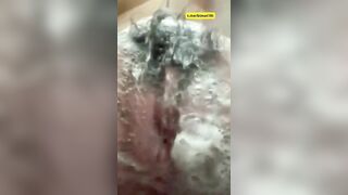 Em Thảo Như Non Tơ Mới Nhú Tới Tuổi Dậy Thì Nước Nhiều (phần 3)