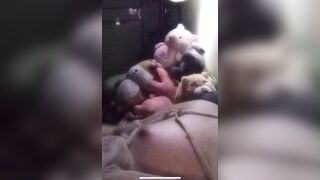 Chị Họ    Đã vú non còn mông to