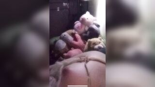 Chị Họ    Đã vú non còn mông to