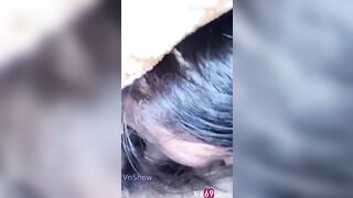 Bắt con bạn thân liếm láp con cu, cu m rửa chx thế mà khai vl