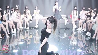 Panda live bên hàn