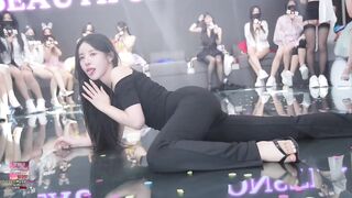 Panda live bên hàn