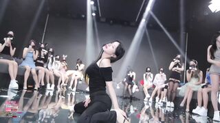 Panda live bên hàn