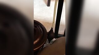 kệ 2 đứa nhỏ đang coi điện thoại, bà vợ vẫn buscu chồng, lén lút kiểu nì ta nói nó đã