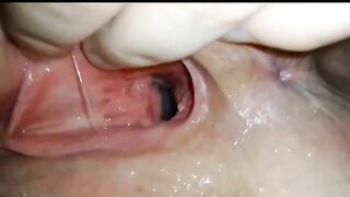 Chị gái tôi cho chó đụ