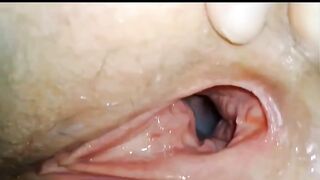 Chị gái tôi cho chó đụ