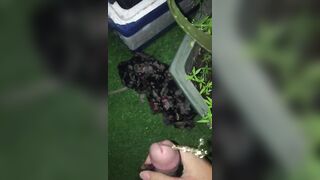 Thủ ngoài ban công phê
