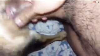 phê con cac quá