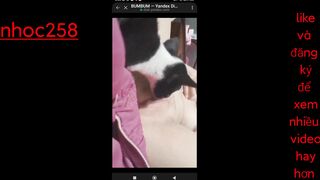 Em gái mới lớn ở nhà một mình nứng lồn quá thủ dâm rồi bắt chó liếm lồn sướng vl ra